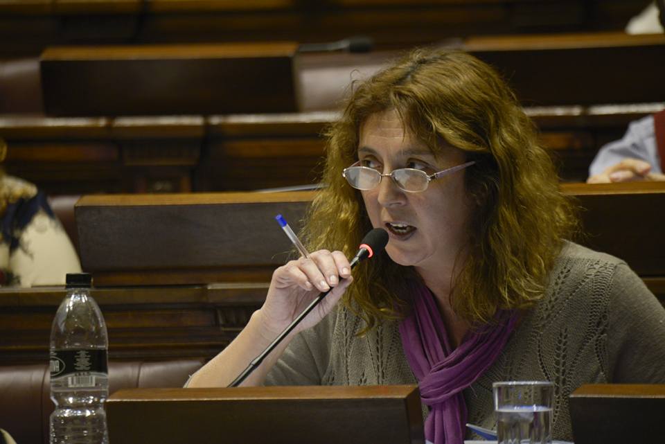Bottino: No basta con la herramienta de ley de cuotas si no hay voluntad política