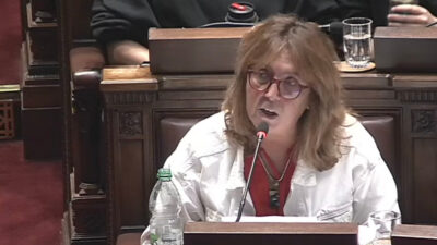 Cecilia Bottino. Foto: Youtube del Parlamento.